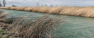 Ein fließender Fluss mit Seegrass am Rande. Durch das fließende Wasser verändert sich das Bild des Flusses. Symbolisch für die Phasen der Veränderung
