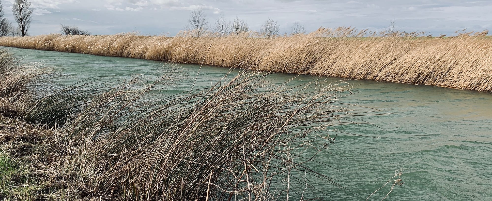 Ein fließender Fluss mit Seegrass am Rande. Durch das fließende Wasser verändert sich das Bild des Flusses. Symbolisch für die Phasen der Veränderung